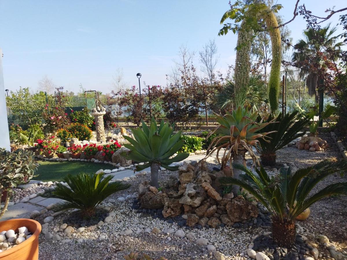 Casa Joan De L'Illa Villa Deltebre Dış mekan fotoğraf